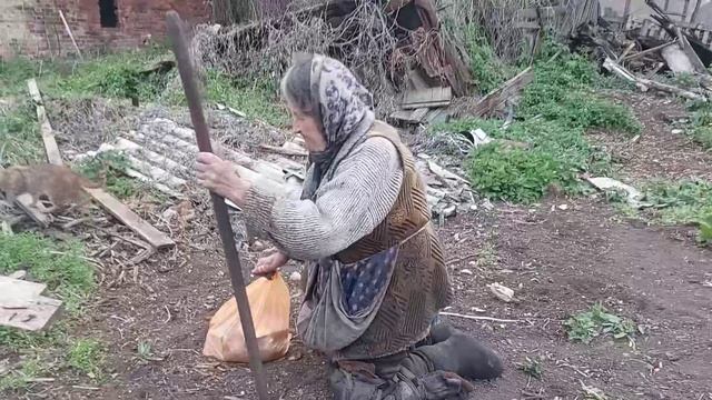 Вспахали огород Аннушке! смотреть онлайн