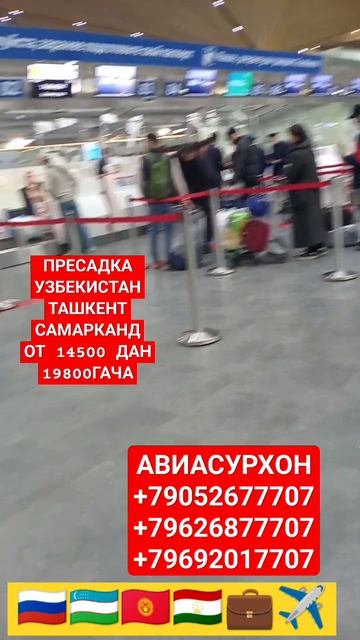 ЧЕРЕЗ ПЕРЕСАДКА УЗБЕКИСТАН АРЗОН ВАРИАНТЛАР ТЕЛЕГРАМ смотреть онлайн
