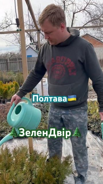 Полив запорука гарного розвитку кореня рослин ✅ #полт смотреть онлайн