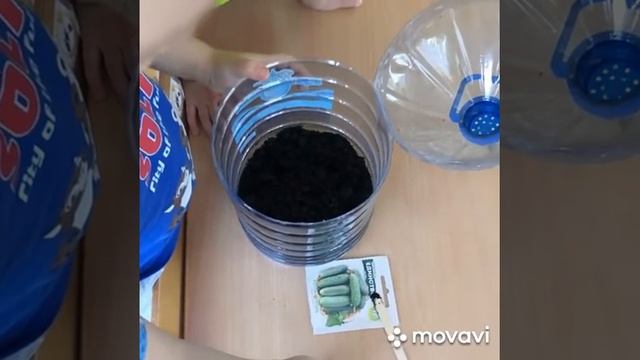 Огород на окошке в группе "Акварельки" смотреть онлайн