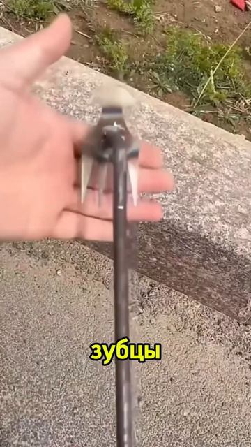 Лучшие покупки для дачи на 2024 год #огород #дача #сад смотреть онлайн