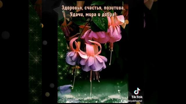 Доброй ночи! смотреть онлайн