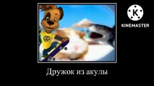 Каналы+Шиза