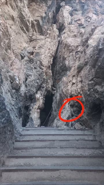 Пуллик топишмоқ