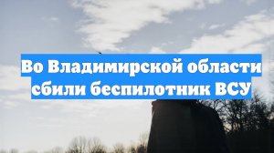 Во Владимирской области сбили беспилотник ВСУ