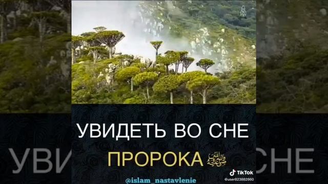 что будет если увидеть пророка Мухаммада С.А.В. во сне? смотреть онлайн