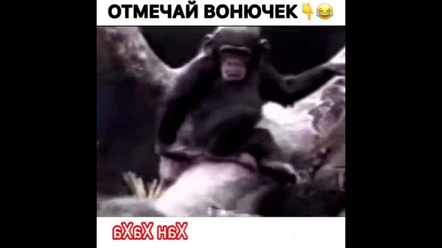 видео и фразы которые знает весь мир... #top #приколы #тренды #world #best #beautiful #subscribe смотреть онлайн