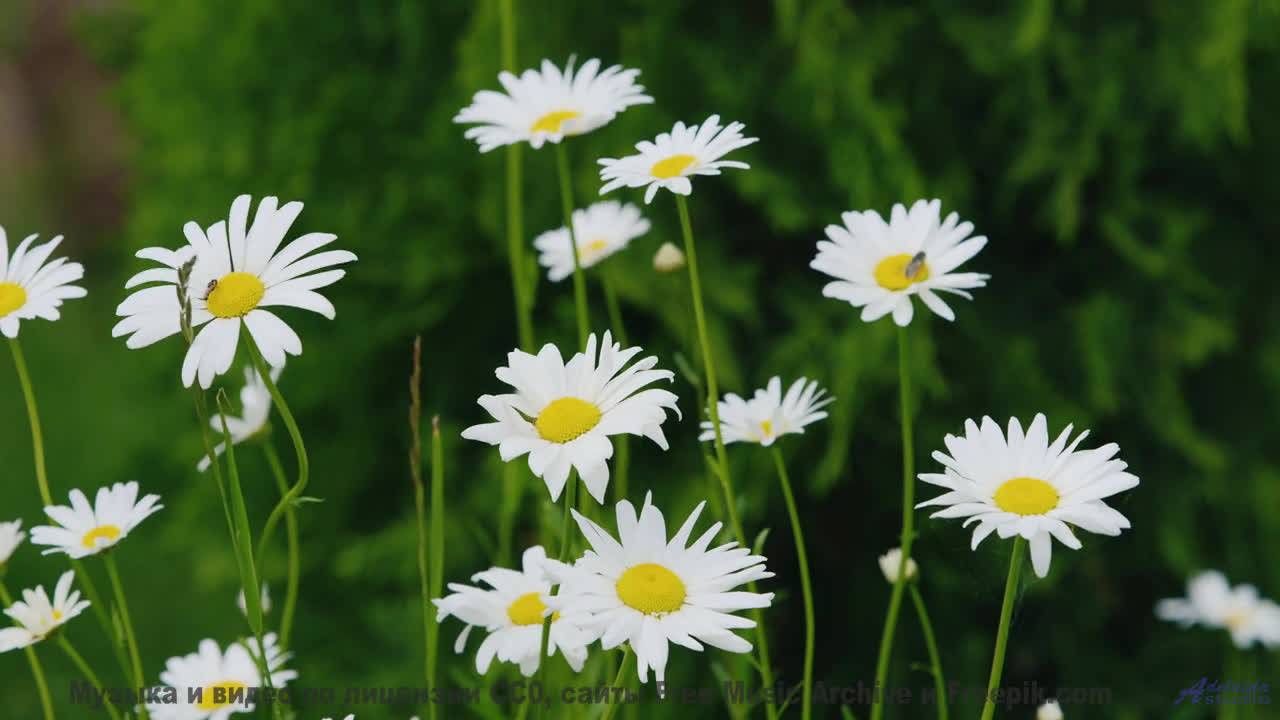 Наслаждайтесь лучшим треком с видами Земли - Defineless -- Ketsa -- Metaphysics