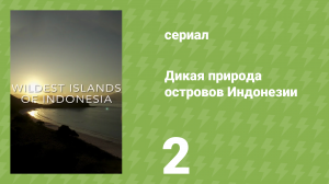 Дикая природа островов Индонезии 2 серия «Острова муссонов» (документальный сериал, 2016)