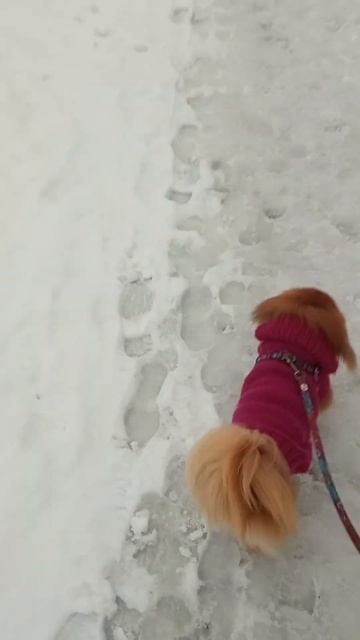 14 грудня 2023 р. смотреть онлайн