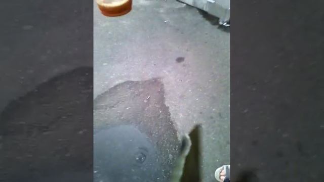 Что будет, если кинуть ментос в квас? смотреть онлайн