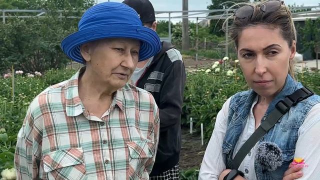 Цветение сеянцев пионов Ворошиловой А.Б. в 2024 году. Час смотреть онлайн