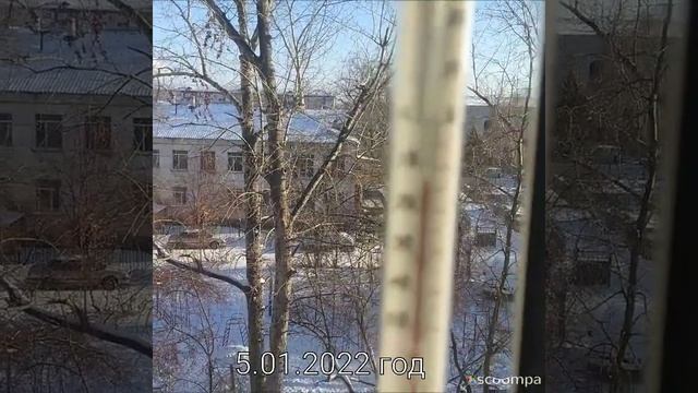 помидоры зимой на подоконнике смотреть онлайн