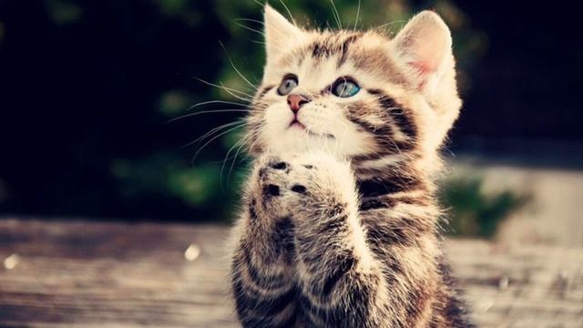 Я всё ещё верю в хороших людей…Ирина Самарина-Лабиринт смотреть онлайн