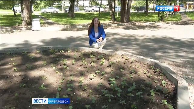 Всего ничего до миллиона: украшение Хабаровска цветам смотреть онлайн