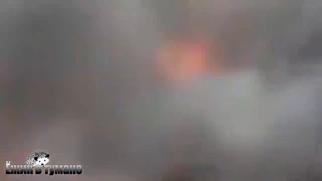 Подборка Приколов 2020 BEST CUBE 2020 Лучшие Видео из Инстаграм BEST COUB 2020 Приколы ИЮЛЬ 2020 смотреть онлайн