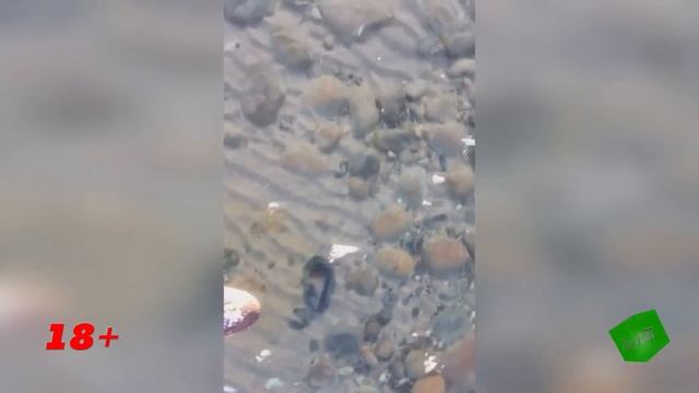 ЛУЧШИЕ ПРИКОЛЫ за Март 2015 (Выпуск 27) || TonyKingShow смотреть онлайн