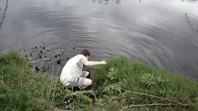 Не поставил поводок... смотреть онлайн
