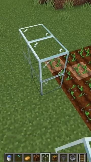 Тростниковые мечты