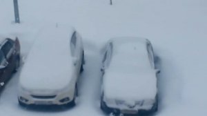 Первоапрельская шутка от весны