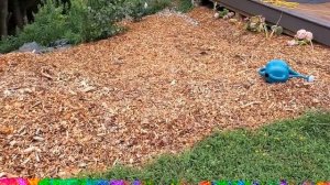 Как правильно использовать древесную щепу.