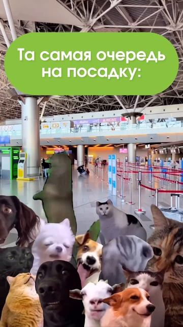 Очередь на посадку в самолет выглядит примерно так 😅 смотреть онлайн