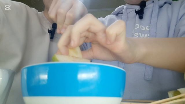 Огородный Компьютер