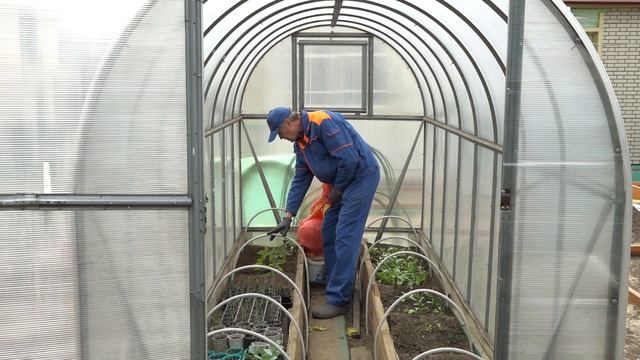 "Во саду ли, в огороде" ( выпуск от 03.05.2024) смотреть онлайн