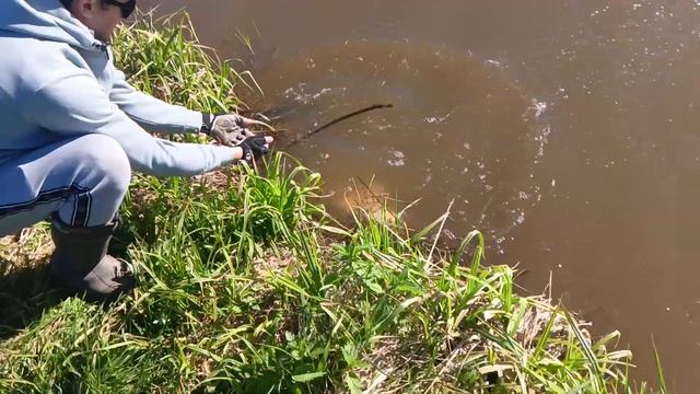 Светлые Горы. Трофей 19.05.2024