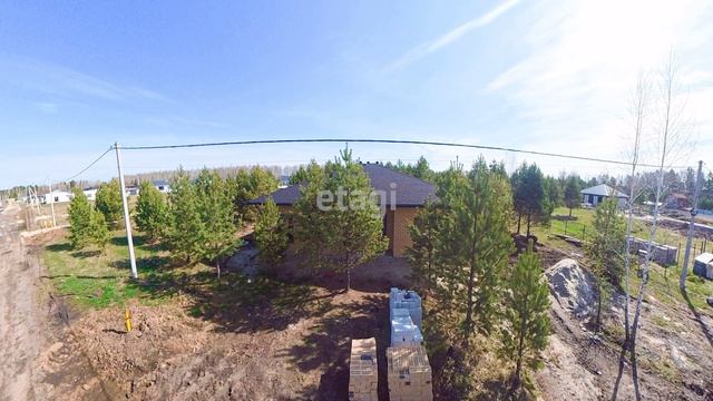 2491401 смотреть онлайн
