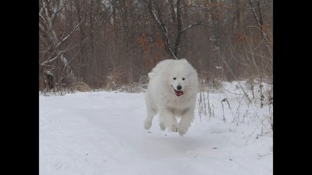 АЙША И ЗИМА КРАСАВИЦА/ПО СНЕГУ И ПО РЕЧКЕ