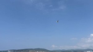 Парусная регата крейсерских яхт 2025. Геленджик. 05.05.2025. Закат. Ёжик