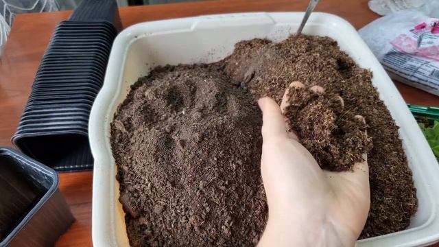 ПЕТУНИЯ без проблем! Правильная пикировка и уход за ра смотреть онлайн