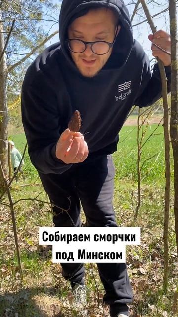 Сезон сморчков и сморчковый шапочек! Любите эти грибы? смотреть онлайн