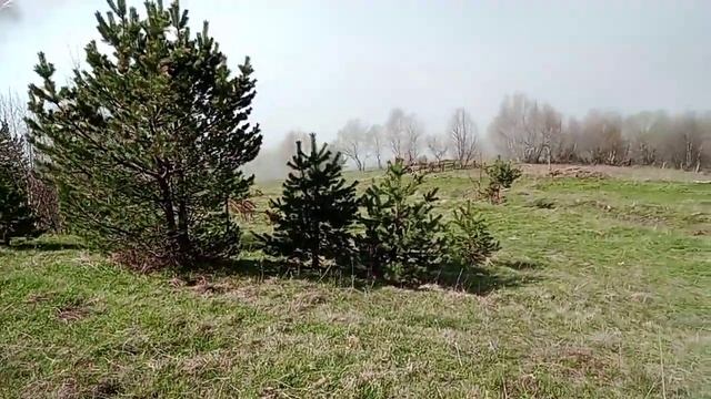 Згид 30 соток видео