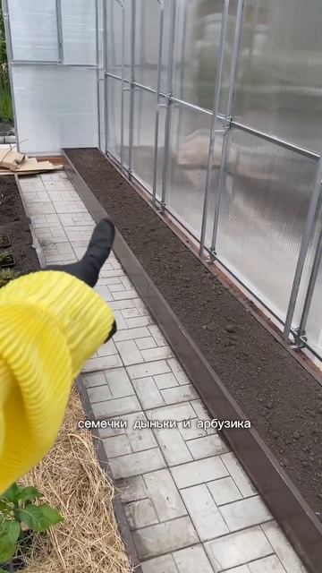 #сад #огород #дача #рассада #теплица 48. 07.06.2024 смотреть онлайн