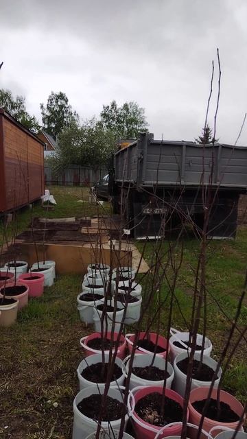 19 мая 2023 год. Привезли чернозем. смотреть онлайн