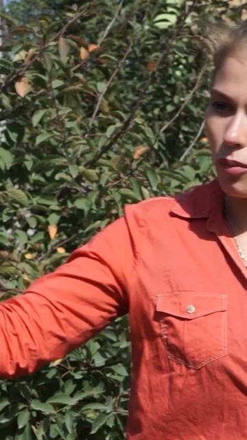 Советы эксперта! Плодовые Деревья в сентябре смотреть онлайн