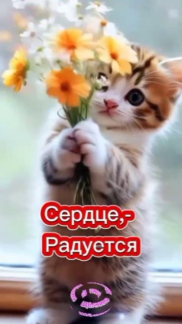 Доброе утро. Добрый вечер. ВидеоОткрытки на Каждый день смотреть онлайн