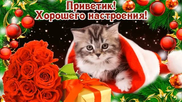 Привет от меня и самые искренние пожелания!!! Музыкальная открытка! смотреть онлайн