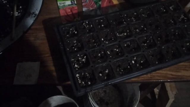Посадка семян перца и баклажана смотреть онлайн