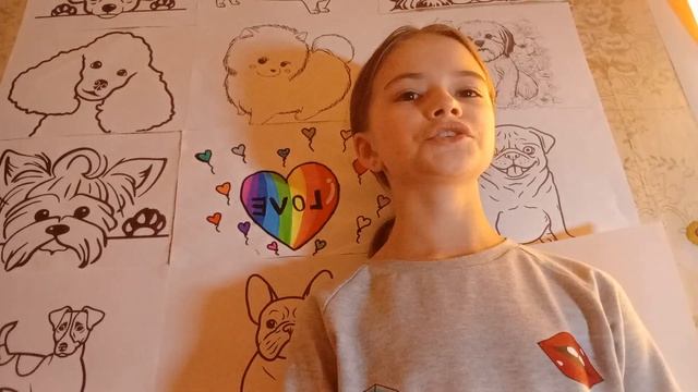 информация о породе Шпиц🐕 смотреть онлайн