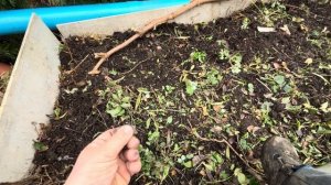 Древесный уголь для огорода. Компост. Дробилка