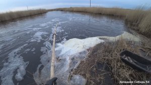 Секретное место нас не подвело. Рыбалка на паук подъёмник.