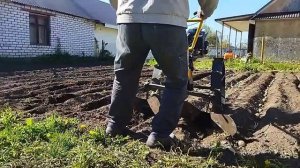 Посадка картофеля мотоблоком, с помощью окучника.