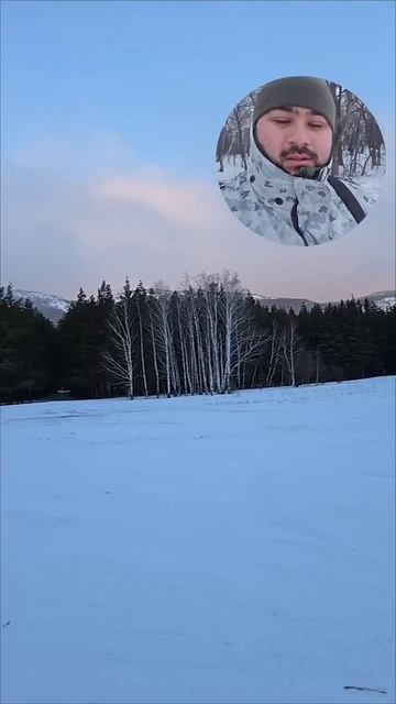 Прогулялись сегодня по зимнему лесу #охота #лес #росси? смотреть онлайн