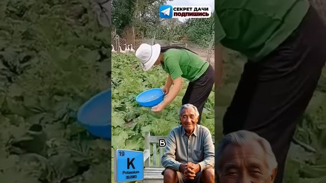 Все секреты огорода по ссылке в шапке профиля. #огород смотреть онлайн