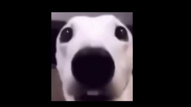 могу ли сделать это для тебя моя озвучка 5 минут версия