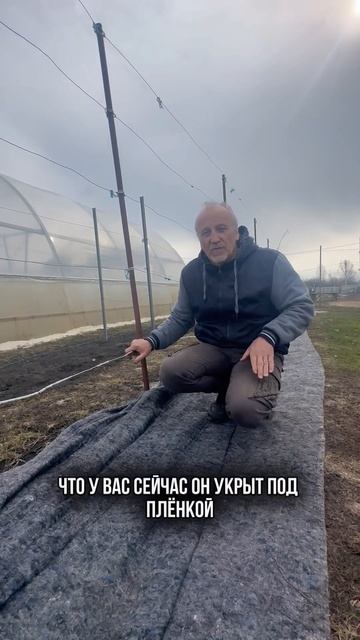 Конда открывать виноград чтобы он не сопрел ? #виногра? смотреть онлайн
