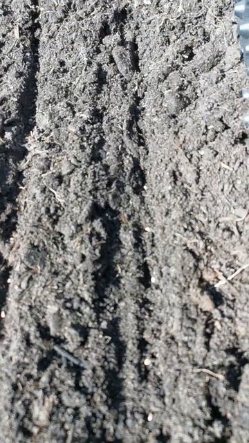 #Shorts#Посадка Редиса! Высокие Грядки! 👌👍 смотреть онлайн